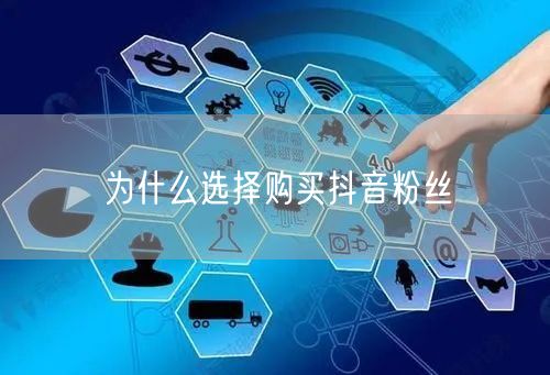 为什么选择购买抖音粉丝