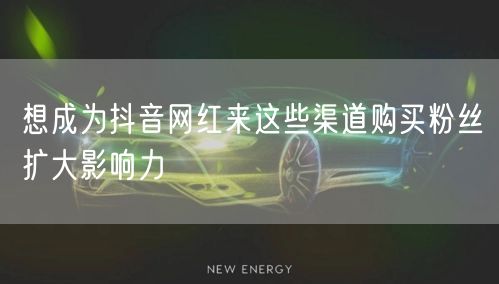 想成为抖音网红来这些渠道购买粉丝扩大影响力