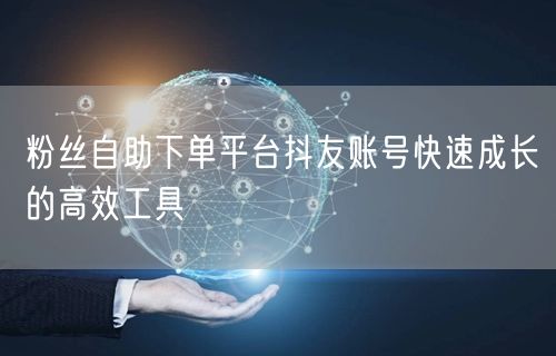 粉丝自助下单平台抖友账号快速成长的高效工具