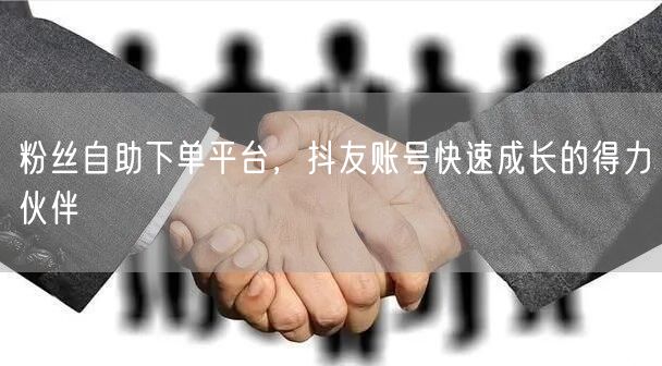 粉丝自助下单平台，抖友账号快速成长的得力伙伴
